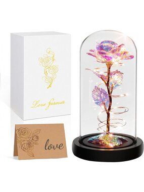 Christmas Rose Gifts for Women,Flowers for Delivery Prime,Colorful Rainbow